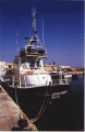 15_Bastia_Ctt E.V.gif